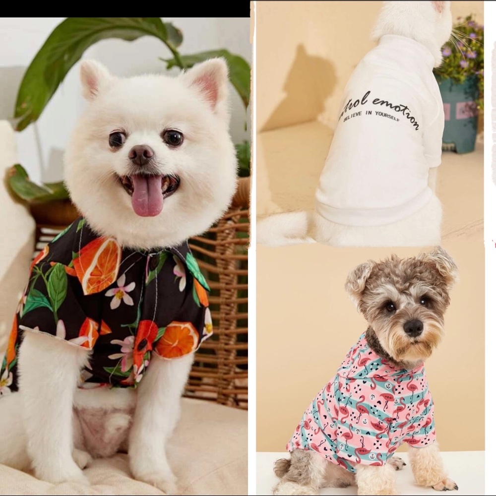 Small Dog/Cat Clothes Lot